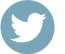 Copy of twitter.png